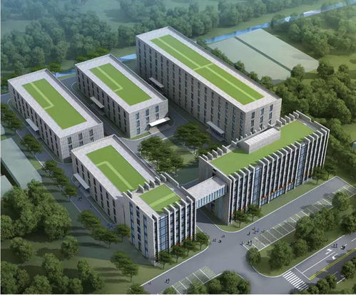 綿陽(yáng)軟件設(shè)計(jì)產(chǎn)業(yè)駛?cè)肟燔嚨?政策加碼與創(chuàng)新突破共筑發(fā)展新高地